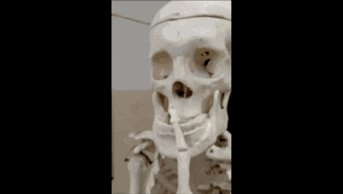 Mewing Shhimmewing GIF