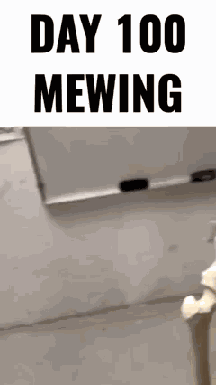 Mewing Skeleton GIF