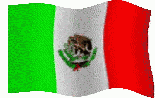 Mexico Flag GIF