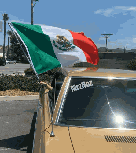 Mexico Mx GIF