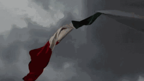 Mexico World Cup GIF
