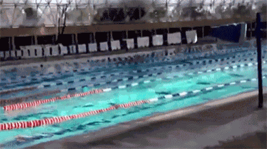 Mexico’s 7.2 Earthquake At A Swimming Pool GIF