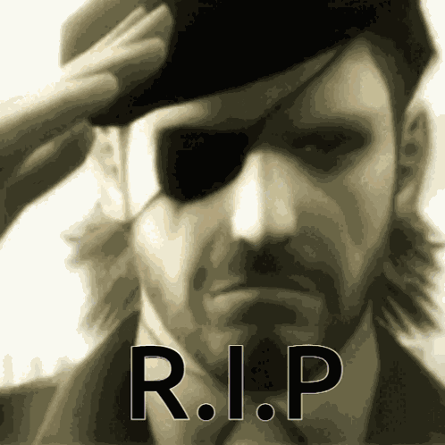 Mgs GIF
