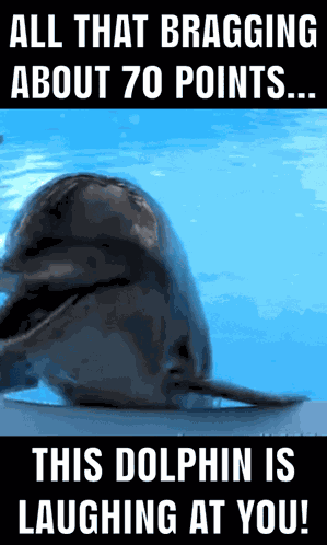 Miami Dolphins Dolphin Laughing GIF