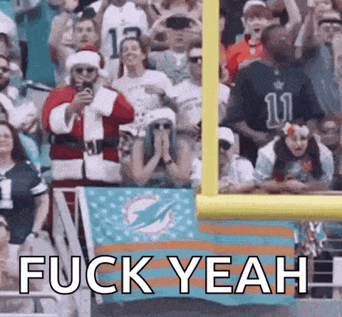 Miami Dolphins Touchdown GIF