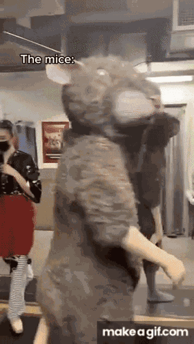 Mice Dancing GIF