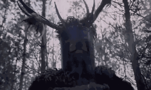 Michael Palin Monty Python GIF