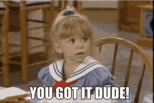 Michelle Tanner You Got It Dude GIF