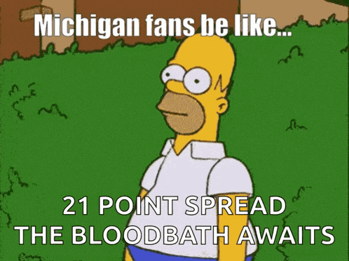 Michigan Football GIF