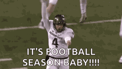 Michigan State GIF