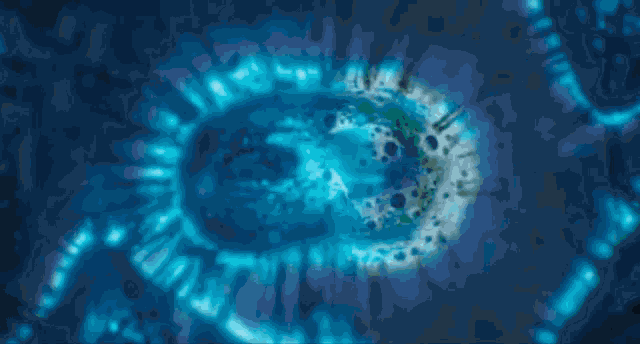 Microscope Cell Division GIF