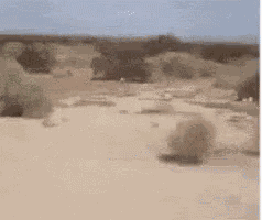 Middle Of Nowhere GIF