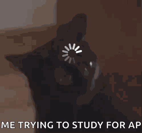 Midnight The Cat Stopped Working Cat Meme GIF