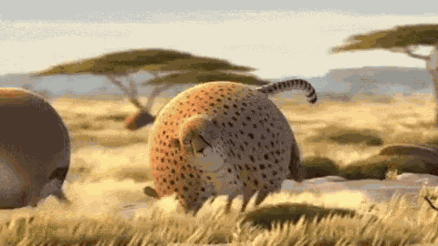 Midnightgif300 GIF