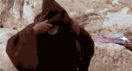 Miggles Hello GIF