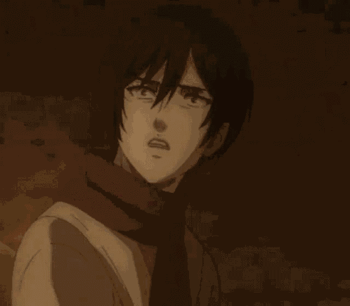 Mikasa Ackerman GIF