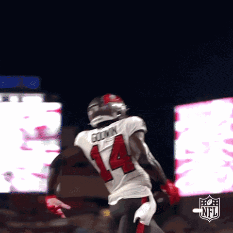 Mike Evans Chris Godwin GIF