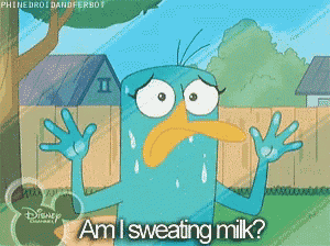Milk Platypus GIF