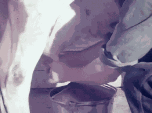 Milking Cow GIF