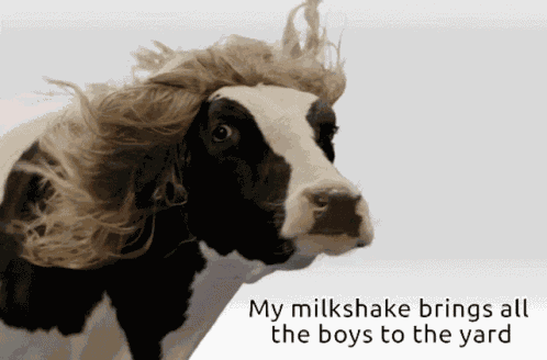 Milkshake Cow GIF