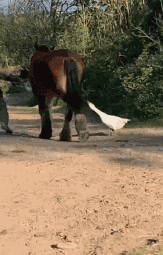 Minajmike1 GIF