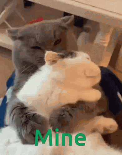 Mine Cuddles GIF