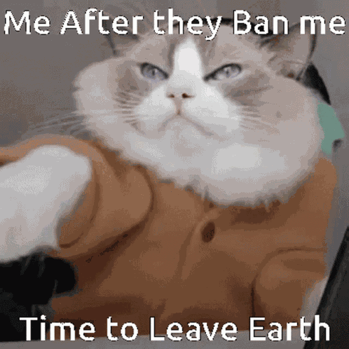 Mineberry Ban GIF