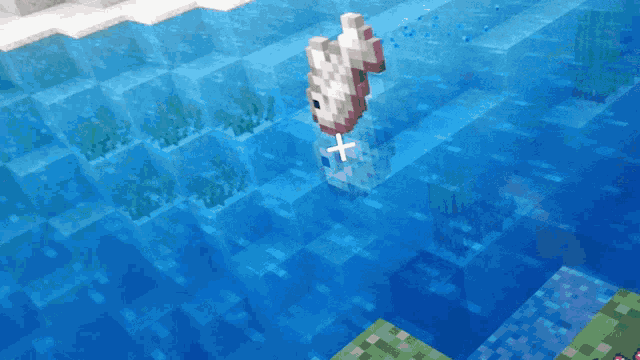 Minecraft Fish Scoober GIF