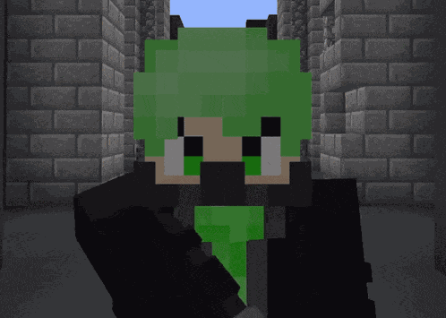 Minecraft Sebie GIF