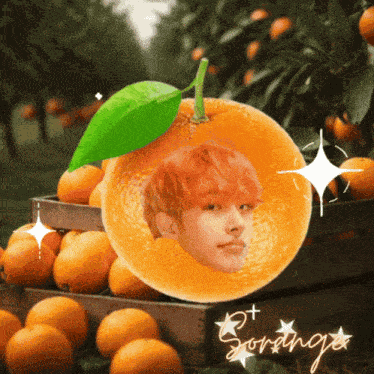 Mingi Sm GIF