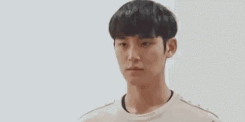 Mingyu Dk GIF