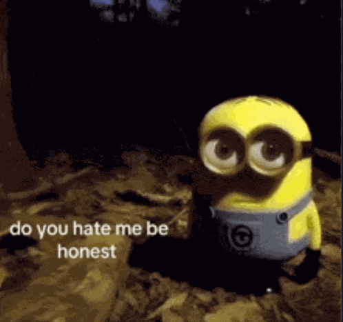 Minion Minions Meme