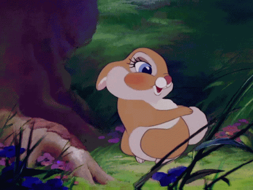 Miss Bunny GIF