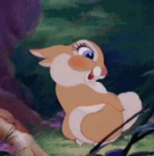Miss Bunny GIF