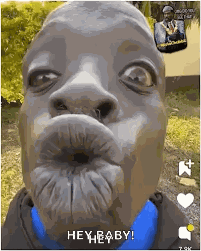Miss You Kiss GIF
