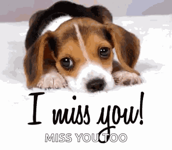 Miss You GIF