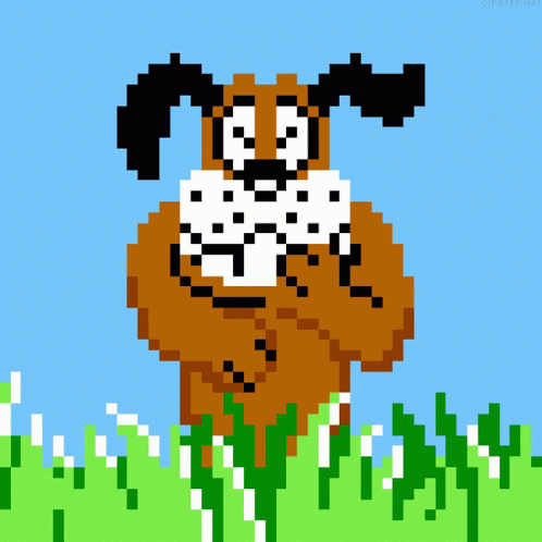 Miss Your Shot Duck Hunt GIF
