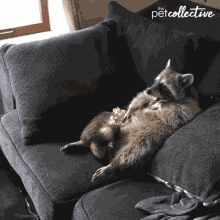 Missed Token Mmm GIF