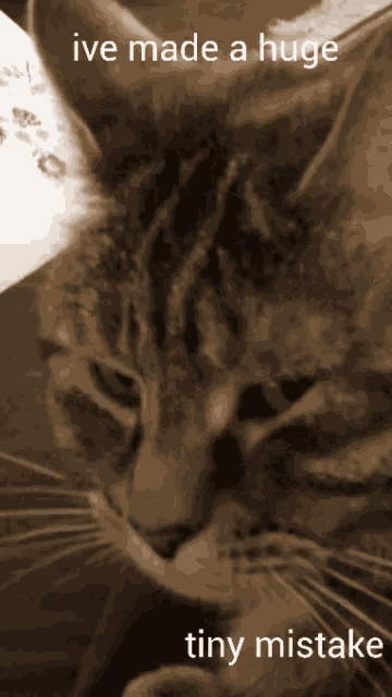 Mistake Ive Made A Huge Hug GIF