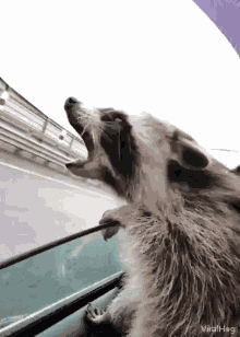 Mmm Missed Token GIF