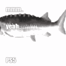 Mmyeahps5 Fiskdoft GIF