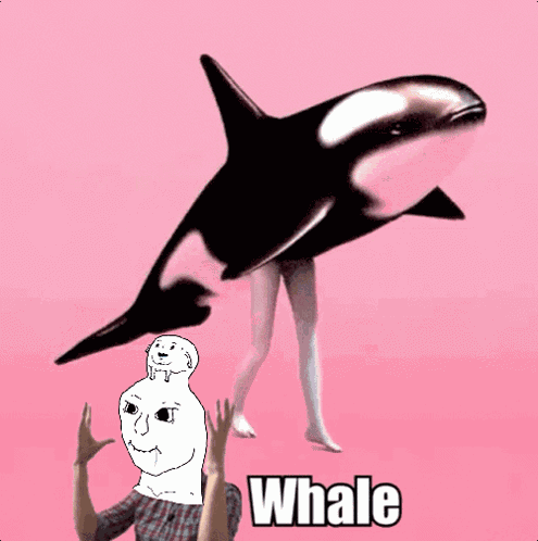 Mnewbis GIF