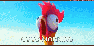 Moana Chicken GIF