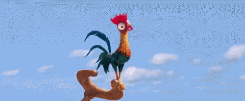 Moana Chicken GIF