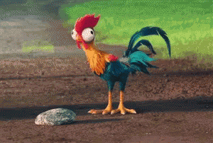 Moana Chicken GIF