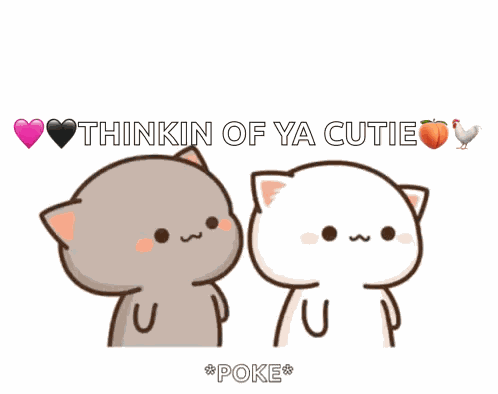 Mochi Poke Poke Cute Cat GIF