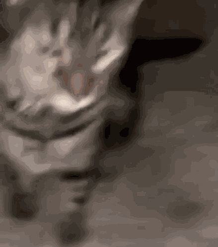 Mocking Cat Bullying Cat GIF