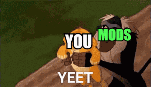 Mod Yeet GIF