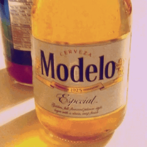 Modelo Beer GIF