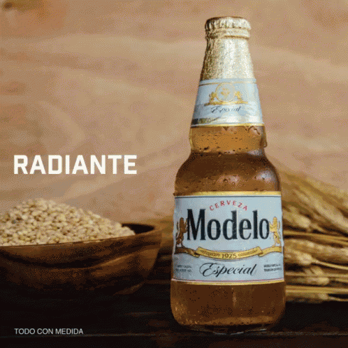 Modelo Beer GIF
